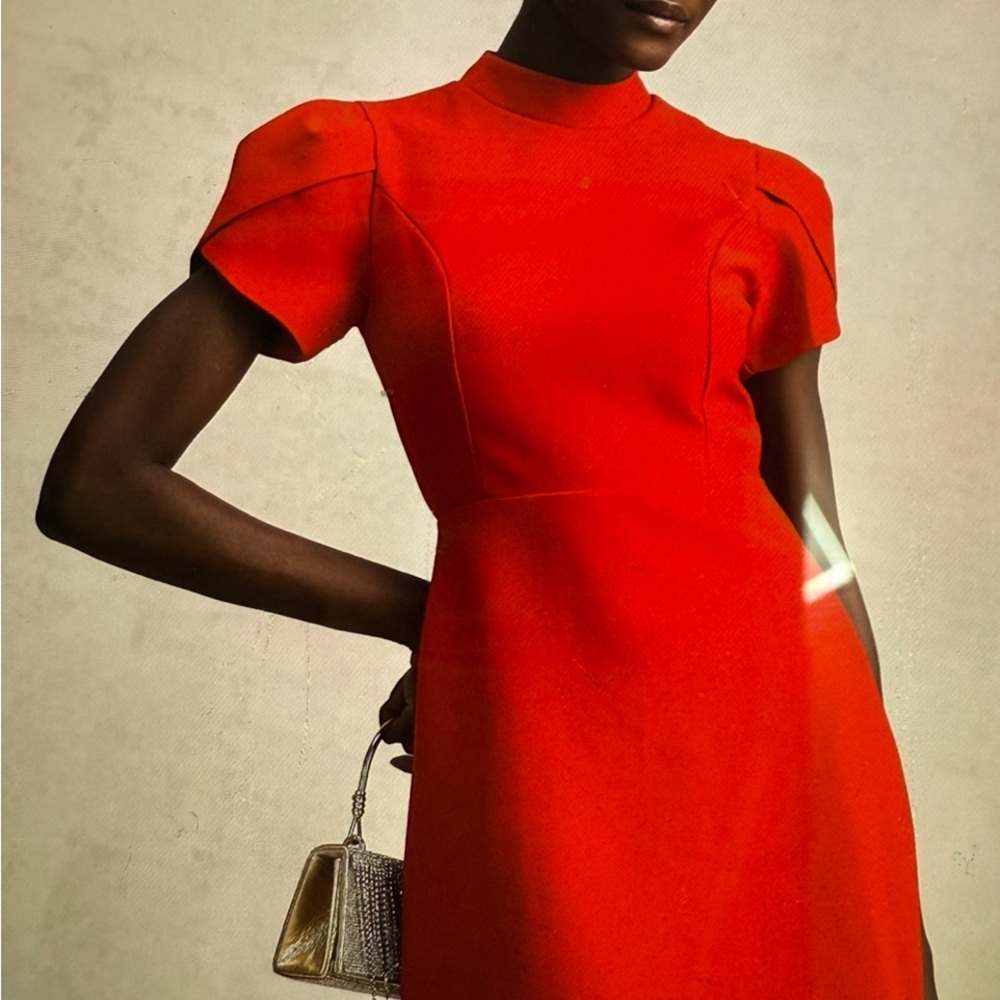 Red Puff Sleeve Sheath Mini Dress